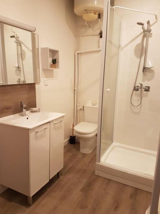 Agreable Appartement Lumineux Au Centre-Ville أويونا المظهر الخارجي الصورة